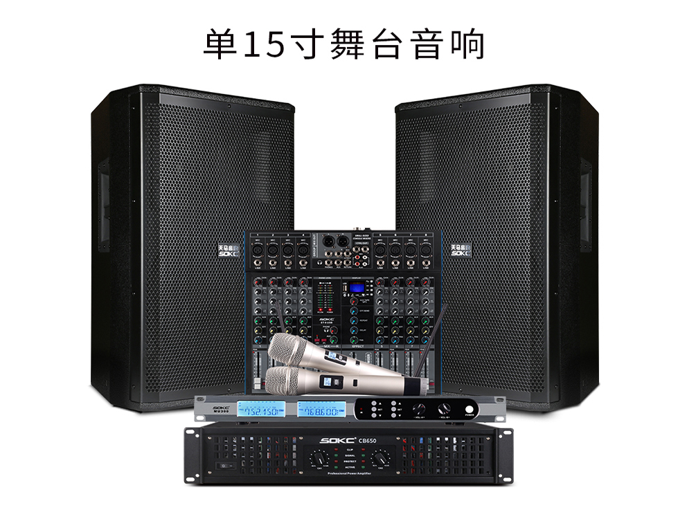 楚雄單15寸演出婚慶舞臺音響